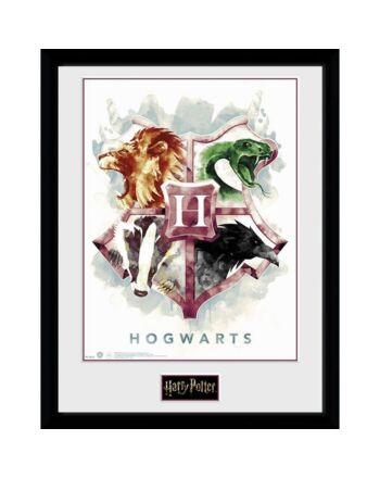 Harry Potter Picture Watercolour 16 x 12-172821