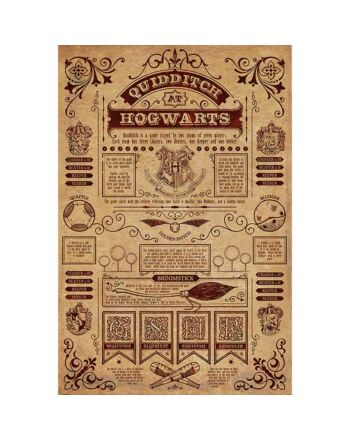 Harry Potter Poster Hogwarts Quidditch 173-176898