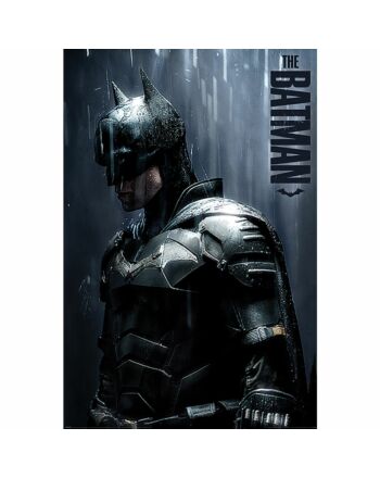 The Batman Poster Downpour 21-TM-00685