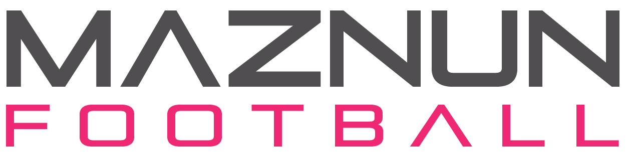 lego tottenham football