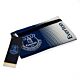 Everton FC Fade Pencil Case-105610