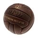 Tottenham Hotspur FC Retro Heritage Mini Ball-166613