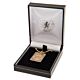 Chelsea FC Gold Plated Dog Tag & Chain-36170
