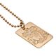Liverpool FC Gold Plated Dog Tag & Chain-36168