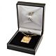 Liverpool FC Gold Plated Dog Tag & Chain-36168