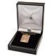 Tottenham Hotspur FC Gold Plated Dog Tag & Chain-36172