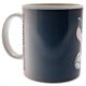 Tottenham Hotspur FC Heat Changing Mug-141010