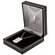 Chelsea FC Icon Dog Tag & Chain-188294