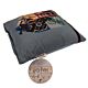 Harry Potter Cushion House Mascots-TM-00333