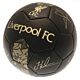 Liverpool FC Sig Gold Phantom Football-TM-00575