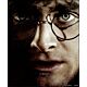 Harry Potter Framed 3D Picture-TM-00929