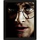 Harry Potter Framed 3D Picture-TM-00929