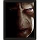 Harry Potter Framed 3D Picture-TM-00929