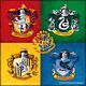 Harry Potter Crests Framed 3D Picture-TM-01462