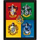 Harry Potter Crests Framed 3D Picture-TM-01462