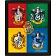 Harry Potter Crests Framed 3D Picture-TM-01462