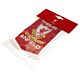 Liverpool FC TIA Mini Pennant-TM-01541