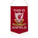 Liverpool FC TIA Mini Pennant-TM-01541