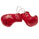 Liverpool FC Red Mini Boxing Gloves-TM-01547