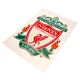 Liverpool FC Crest A4 Car Decal-TM-01589