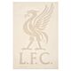 Liverpool FC Liverbird A4 Car Decal-TM-01590