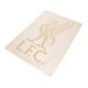 Liverpool FC Liverbird A4 Car Decal-TM-01590