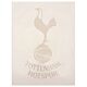Tottenham Hotspur FC A4 Car Decal-TM-01591