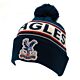 Crystal Palace FC Text Ski Hat-TM-01671