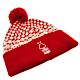 Nottingham Forest FC Fade Ski Hat-TM-01719