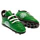 Celtic FC Mini Football Boots-TM-02978