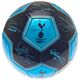 Tottenham Hotspur FC Sig 26 Football-TM-03324