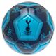 Tottenham Hotspur FC Signature Football-158249