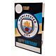 Manchester City FC Birthday Card With Stickers-TM-03911