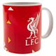 Liverpool FC Particle Mug-TM-02832