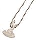 Tottenham Hotspur FC Stainless Steel Pendant & Chain-135588
