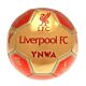 Liverpool FC Sig 26 Skill Ball-TM-03337