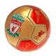 Liverpool FC Sig 26 Skill Ball-TM-03337