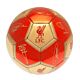 Liverpool FC Sig 26 Skill Ball-TM-03337
