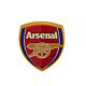 Arsenal FC 3D Fridge Magnet-87082