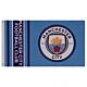 Manchester City FC Wordmark Flag-141759