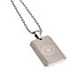 Chelsea FC Patterned Dog Tag & Chain-88141