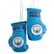 Manchester City FC Mini Boxing Gloves-TM-03958