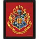 Harry Potter Gryffindor Framed 3D Picture-TM-05579