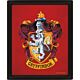 Harry Potter Gryffindor Framed 3D Picture-TM-05579