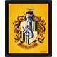 Harry Potter Hufflepuff Framed 3D Picture-TM-05580