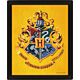 Harry Potter Hufflepuff Framed 3D Picture-TM-05580