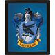 Harry Potter Ravenclaw Framed 3D Picture-TM-05581