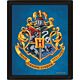 Harry Potter Ravenclaw Framed 3D Picture-TM-05581