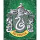 Harry Potter Slytherin Framed 3D Picture-TM-05582