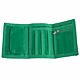 Celtic FC Vector Wallet-TM-04498